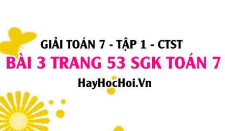 Giải bài 3 trang 53 Toán 7 Tập 1 SGK Chân trời sáng tạo